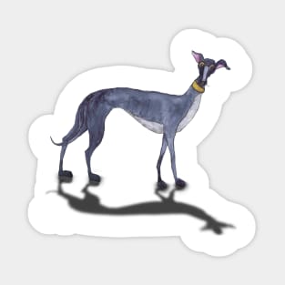 GREYHOUND Sticker